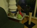 img007.jpeg.small.jpeg