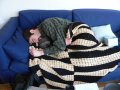 img006.jpeg.small.jpeg