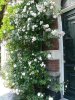 img146.jpeg.small.jpeg