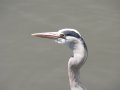 img153.jpeg.small.jpeg
